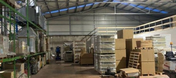 2 rooms Warehouse in Limena, Italy No. 168354 11