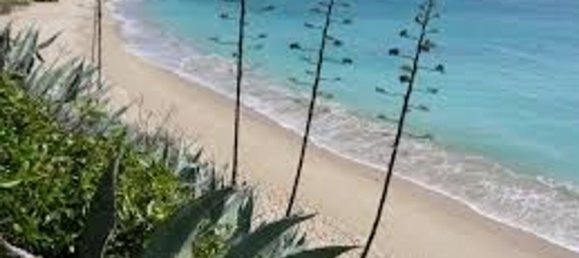 2 bedrooms Apartment in Los Canos De Meca, Spain No. 165965 22