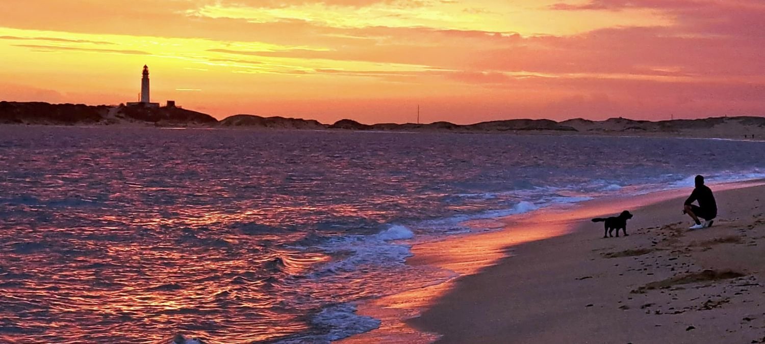 2 bedrooms Apartment in Los Canos De Meca, Spain No. 165965