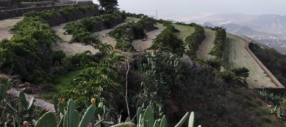 Дом с 3 спальнями в Вилафлор, Испания № 156817 19