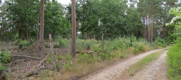 Terreno em Dahme-Spreewald, Germany 625 m² N.º 60203 3