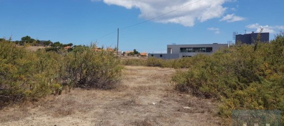 5720m² Land in Porto Santo, Portugal No. 315772 10