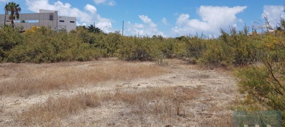 5720m² Land in Porto Santo, Portugal No. 315772 8