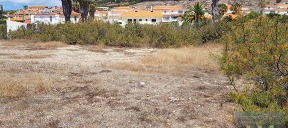 5720m² Land in Porto Santo, Portugal No. 315772 11