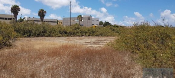 5720m² Land in Porto Santo, Portugal No. 315772 12