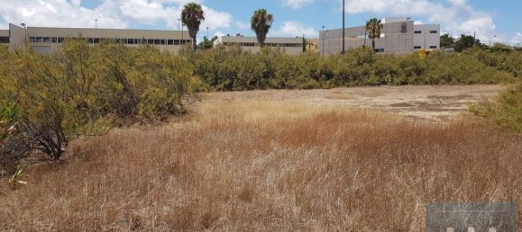 5720m² Land in Porto Santo, Portugal No. 315772 6