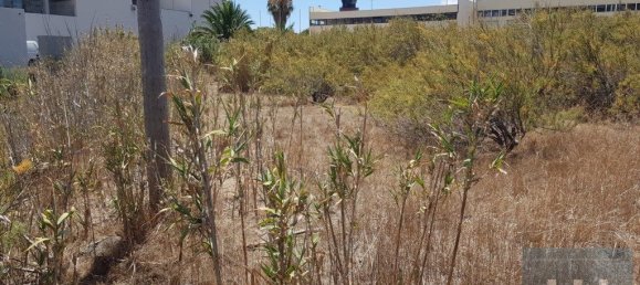 5720m² Land in Porto Santo, Portugal No. 315772 13