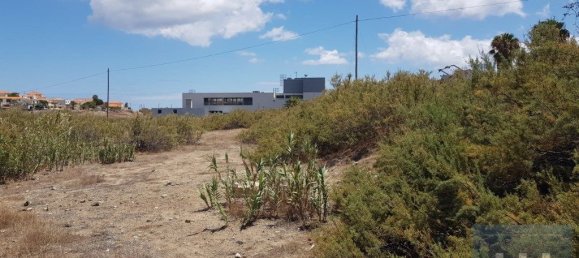 5720m² Land in Porto Santo, Portugal No. 315772 7