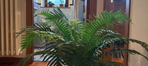 4 rooms Apartment in Greve in Chianti, Italy No. 216645 12