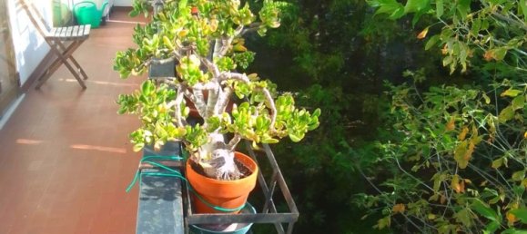 Квартира с 4 спальнями в Модена, Италия № 370522 6