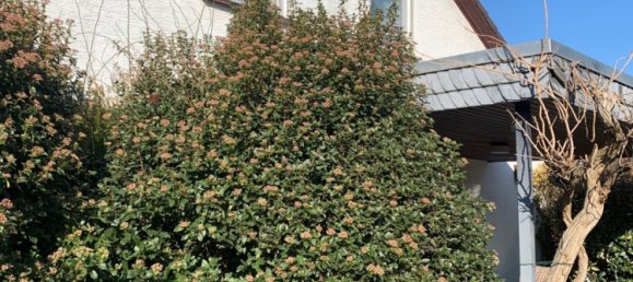 5 chambres Maison à Rhein-Sieg, Germany No. 191909 11