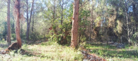 2 غرف نوم منزل في Parcent, Spain رقم 42361 13