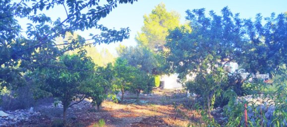 2 غرف نوم منزل في Parcent, Spain رقم 42361 17