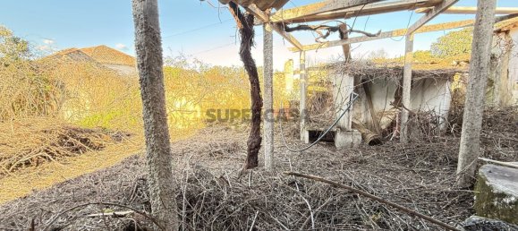 3 bedrooms House in Rio Maior, Portugal No. 156568 7