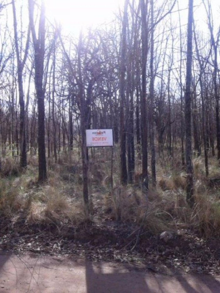  Land in Cordoba, Argentina No. 46446