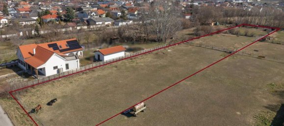 Terrain à Gols, Austria No. 256237 2