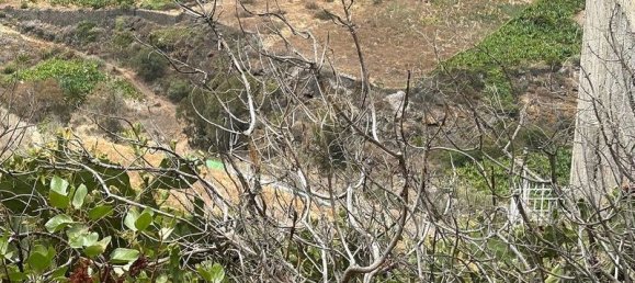 Земельный участок 450м² в Лас-Пальмас-де-Гран-Канария, Испания № 180405 7