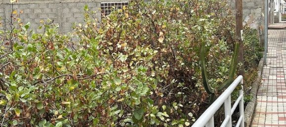 Земельный участок 450м² в Лас-Пальмас-де-Гран-Канария, Испания № 180405 4