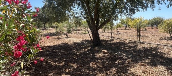 5 chambres Maison à Cartaxo, Portugal No. 139929 40