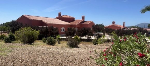5 chambres Maison à Cartaxo, Portugal No. 139929 8