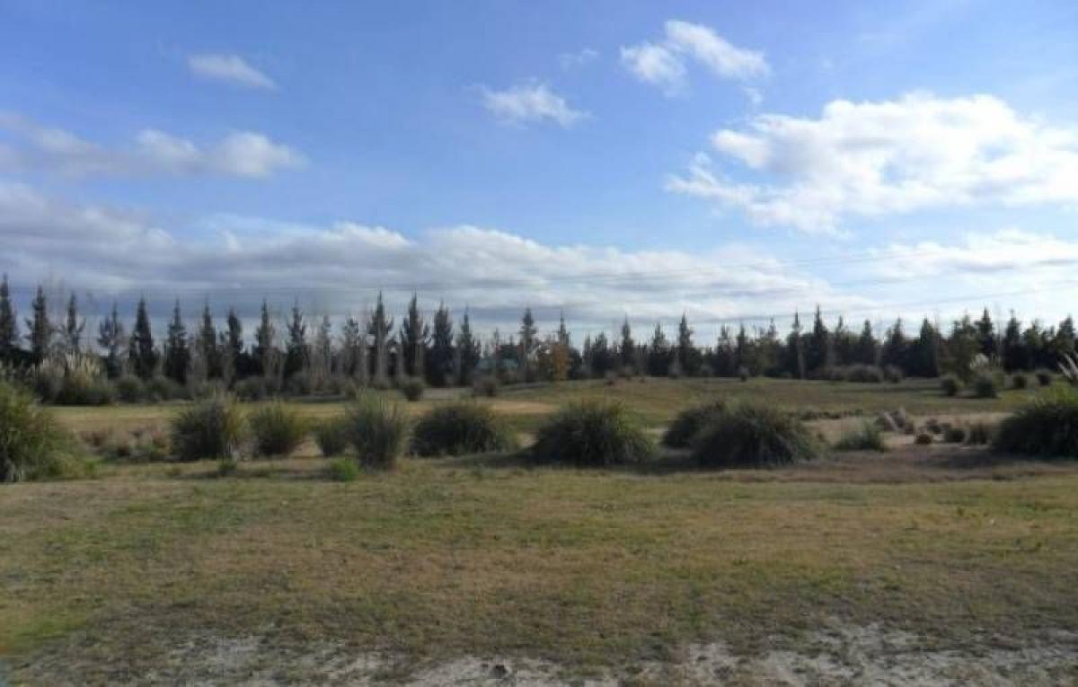  Land in Tigre, Argentina No. 31194