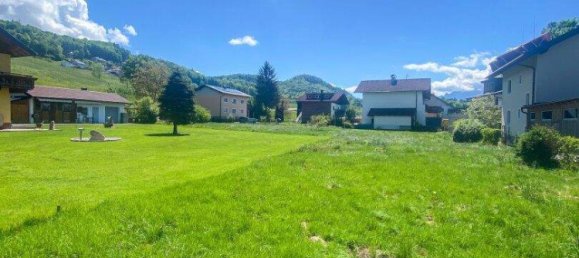 Land in Adnet, Austria No. 136079 4