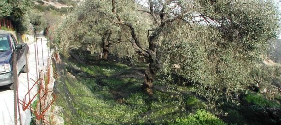 10000m² Hotel in Preveza, Greece No. 7455 3