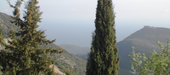 10000m² Hotel in Preveza, Greece No. 7455 7