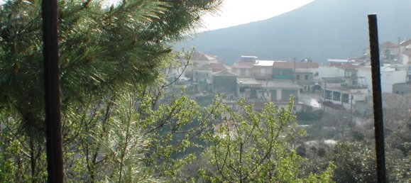 10000m² Hotel in Preveza, Greece No. 7455 5