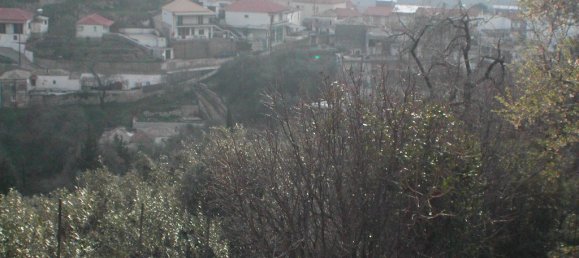 10000m² Hotel in Preveza, Greece No. 7455 4