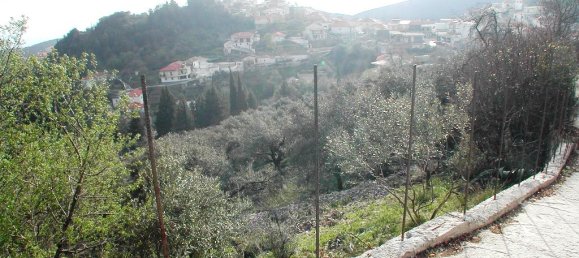 10000m² Hotel in Preveza, Greece No. 7455 6