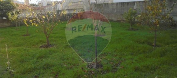 4 Schlafzimmer Haus in Valpacos, Portugal, Nr. 19485 5