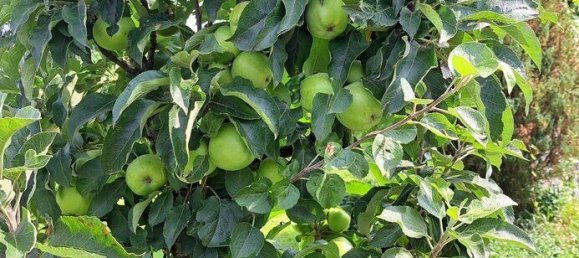 قطعة أرض في Voitsberg, Austria 232متر مربع رقم 128058 11