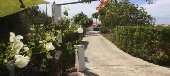 9 غرف نوم منزل في Vila do Bispo, Portugal رقم 187119 3