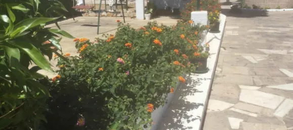 9 غرف نوم منزل في Vila do Bispo, Portugal رقم 187119 37