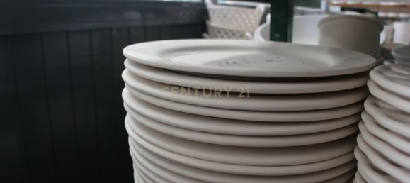 Propiedad comercial en Condeixa a Nova, Portugal 11363 m² No. 146219 3