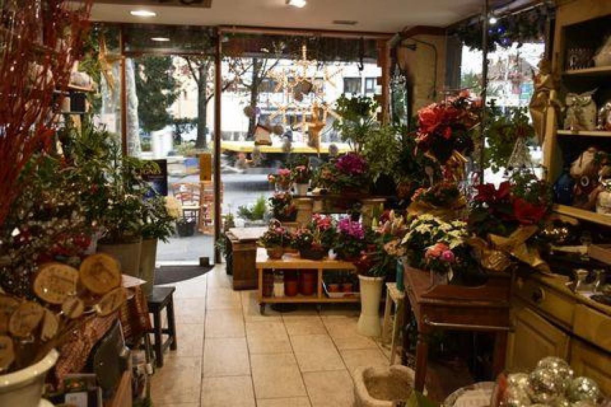 36m² Office in Annecy, France No. 21084