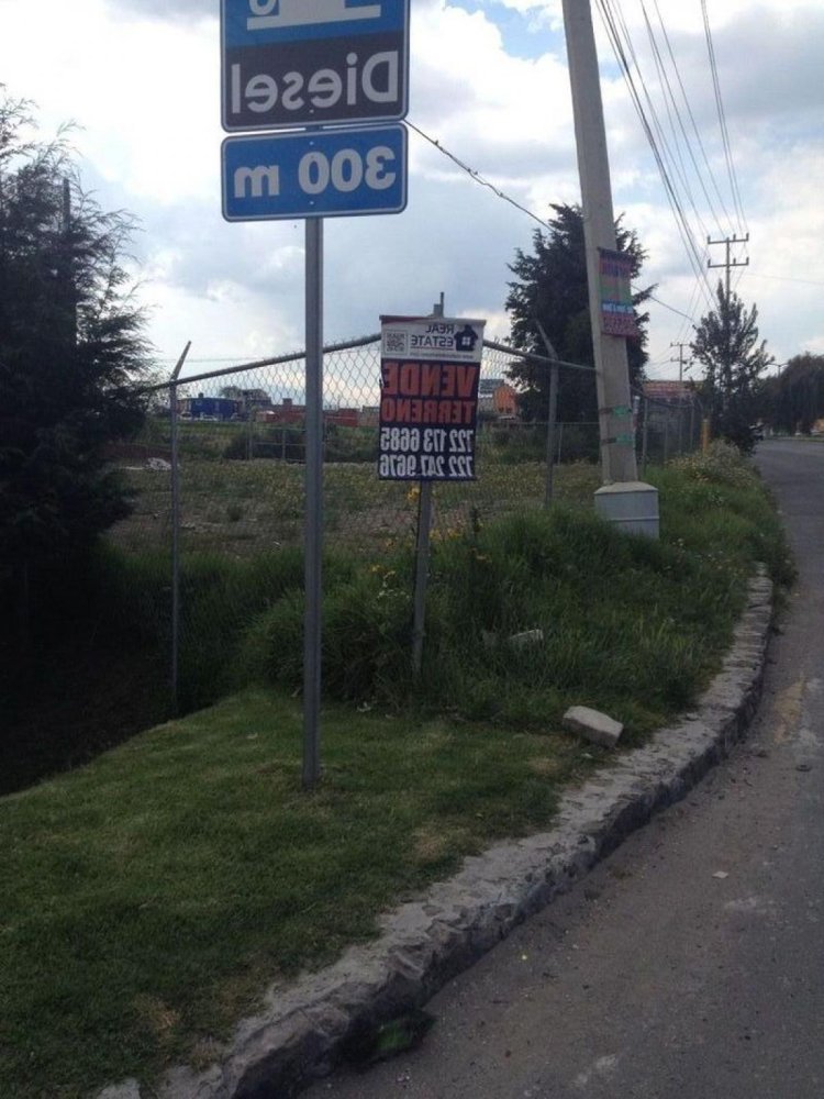  Land in Mexico No. 203884