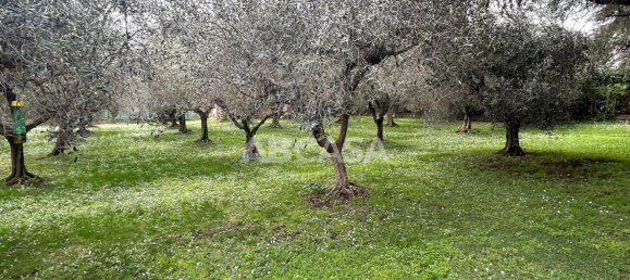 Вилла с 4 комнатами в Веллетри, Италия № 10003 29