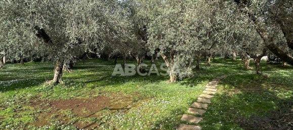 Вилла с 4 комнатами в Веллетри, Италия № 10003 35