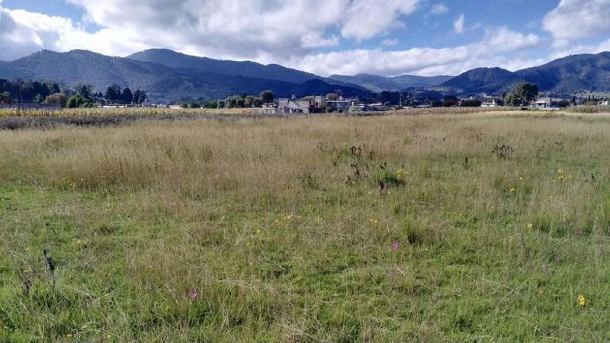 Terreno en Lerma, Mexico No. 206079