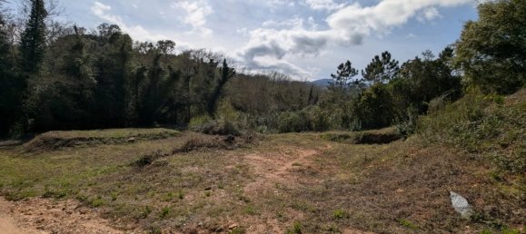 892m² Land in Poggio-Mezzana, France No. 157834 6