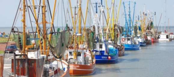 Таунхаус с 6 комнатами в Cuxhaven, Германия № 315140 29