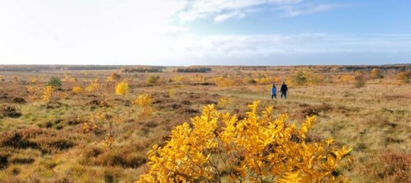 Таунхаус с 6 комнатами в Cuxhaven, Германия № 315140 26