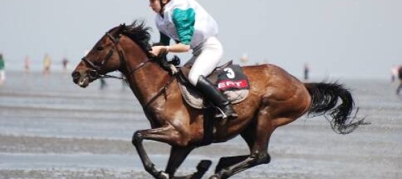 Таунхаус с 6 комнатами в Cuxhaven, Германия № 315140 28