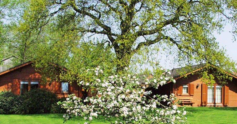 Таунхаус с 6 комнатами в Cuxhaven, Германия № 315140