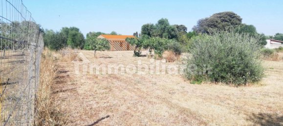 Земельный участок 6300м² в Сассари, Италия № 341228 11