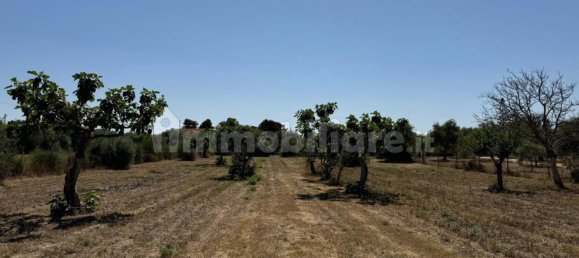 Земельный участок 6300м² в Сассари, Италия № 341228 3