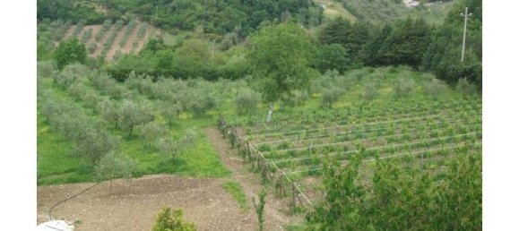 3 Schlafzimmer Villa in Buccino, Italy, Nr. 254947 2