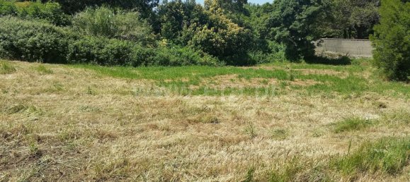  Land in Colares, Portugal No. 79889 3